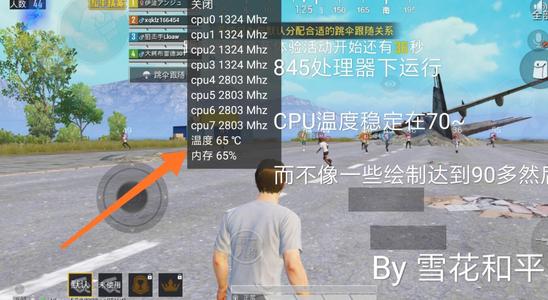 和平精英辅助哪个比较稳